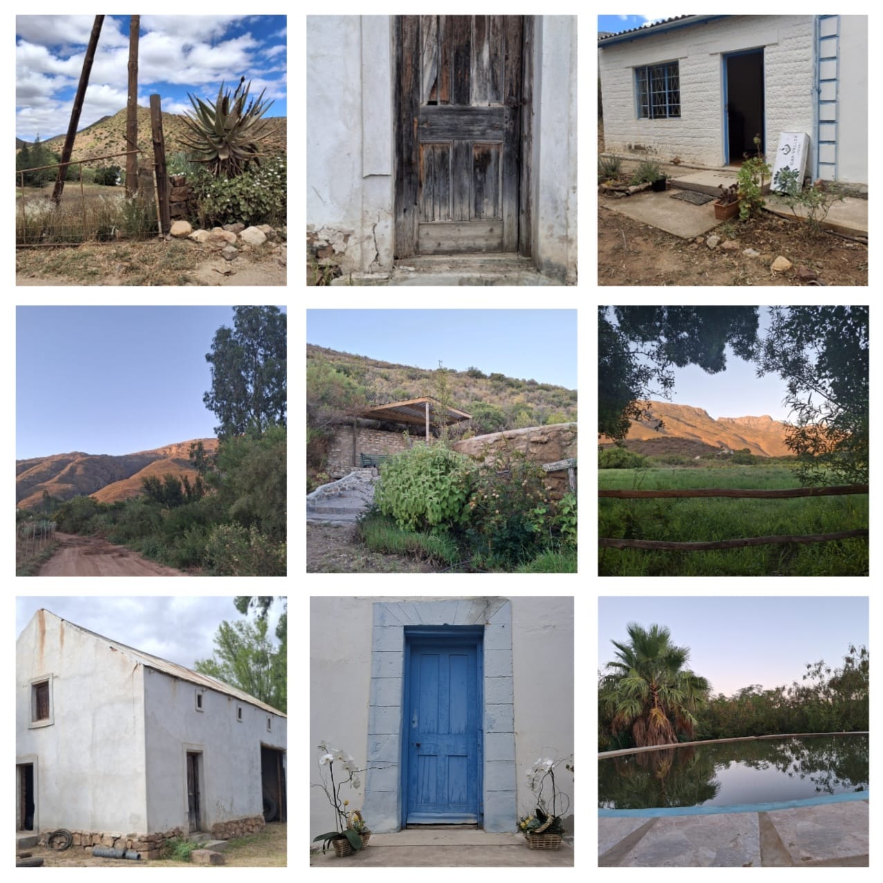 Introduction to Floristry Course Ladismith 5 & 6 September (Fri & Sat) - Image 3