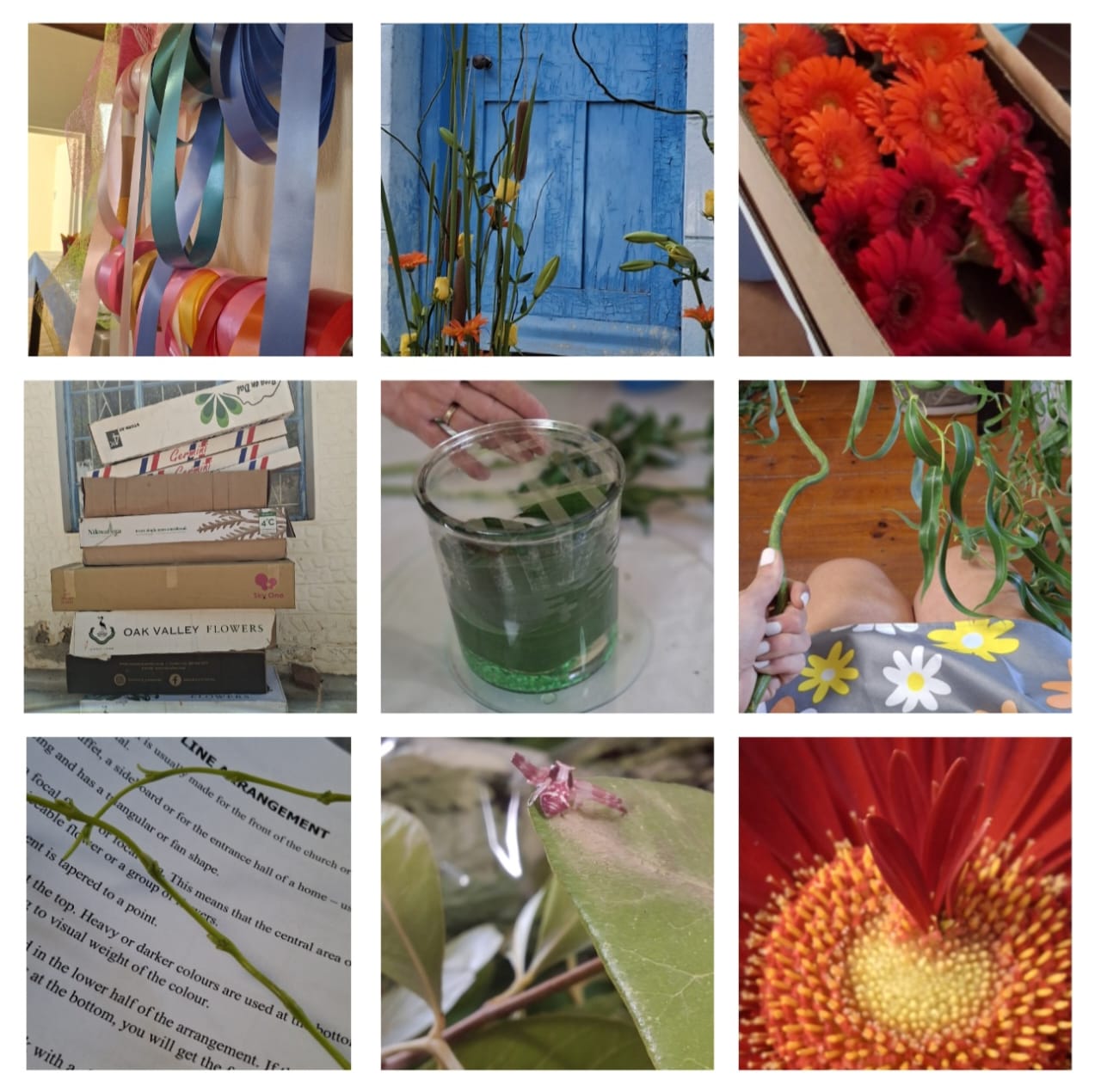 Introduction to Floristry Course Ladismith 5 & 6 September (Fri & Sat) - Image 4